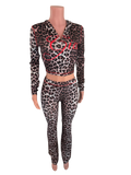 Leopard Gia Set