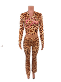 Cheetah Gia Set